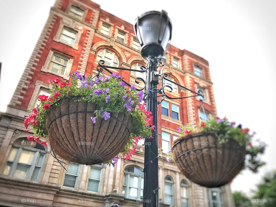 Evening summer walk in New Haven, CT...