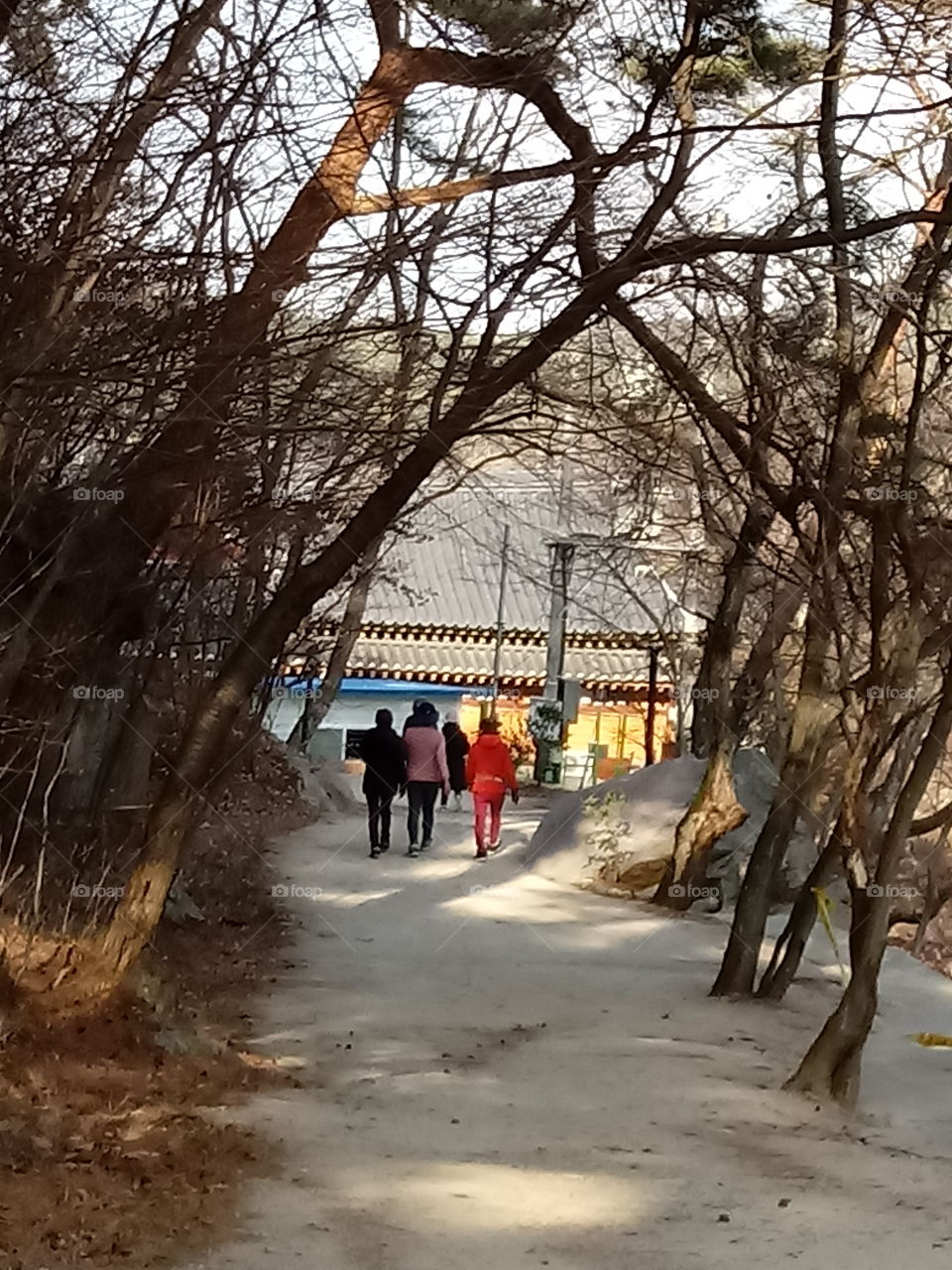 we are going down now after the long walk  at the mountain.