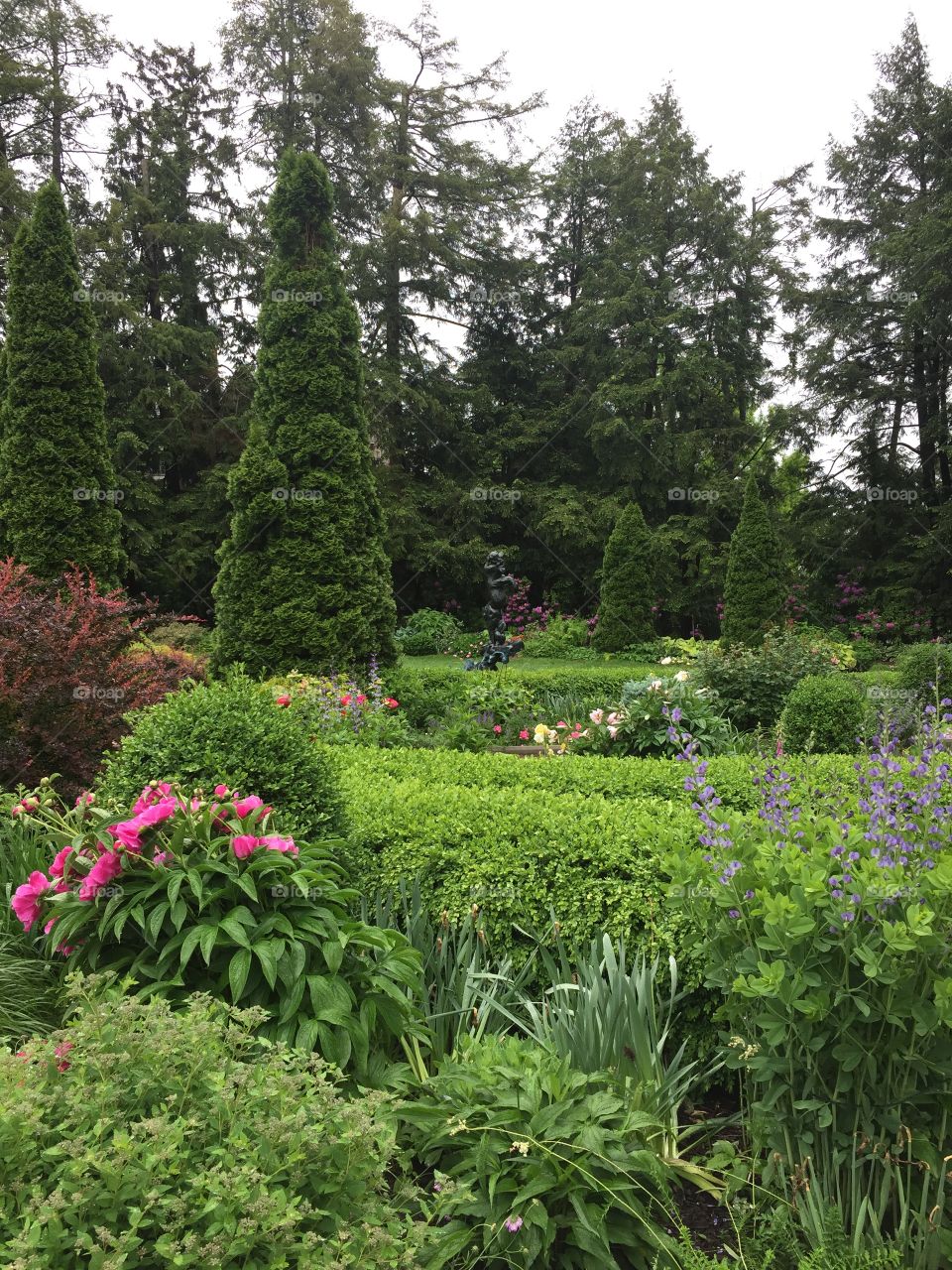 stunning lush gardens of Princeton University in Princeton, New Jersey // May 2017