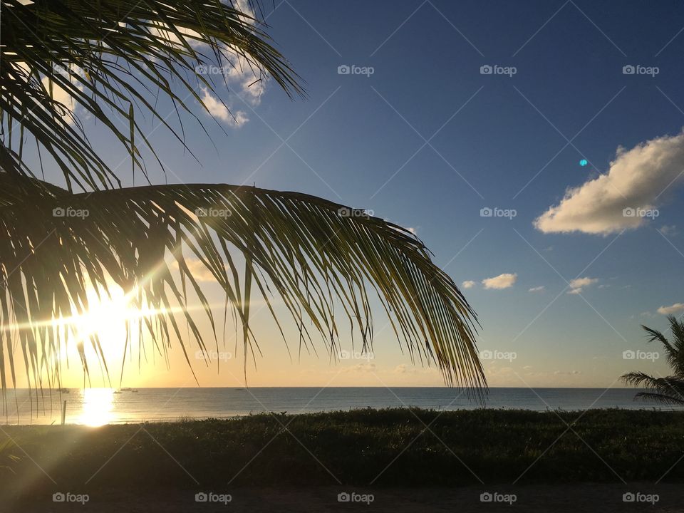 Amanheceram belíssimo - Passeio maravilhoso à cidade de Maragogi, um paraíso no estado de Alagoas, litoral do Nordeste do Brasil. 