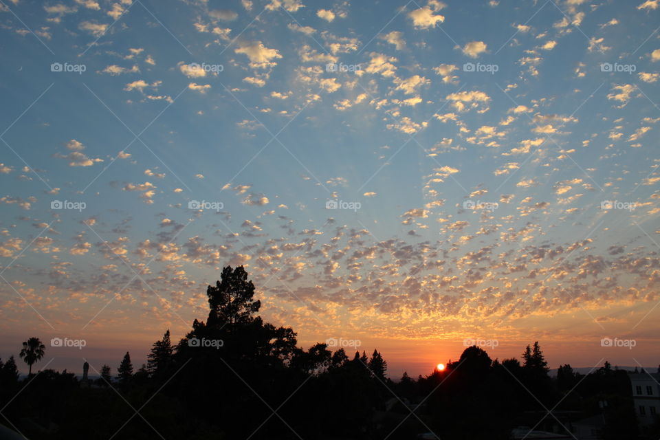 beautiful color variances in this Sunset picture and silhouette