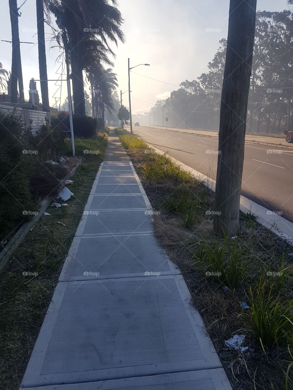 Road, Tree, No Person, Landscape, Guidance