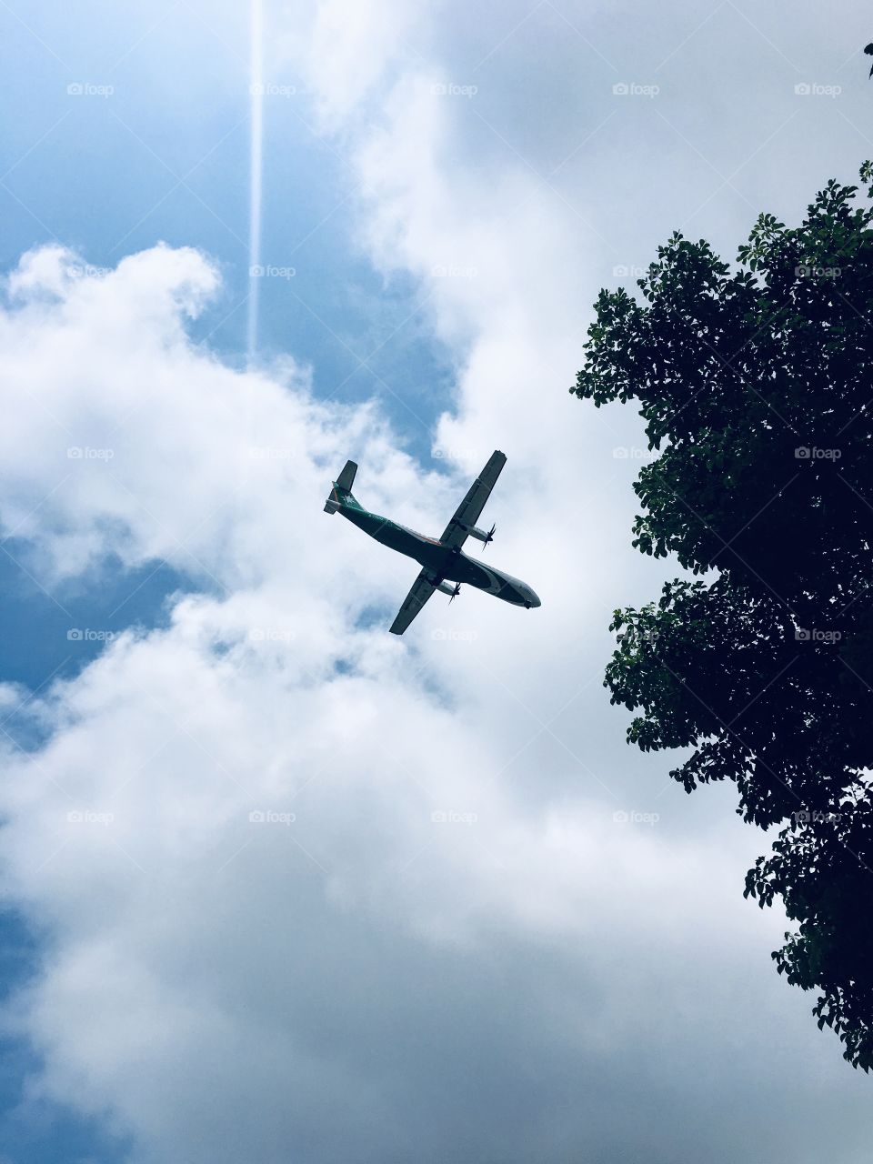 Catching my flight by capturing his wings on my camera phone, this was taken during one of my holidays.