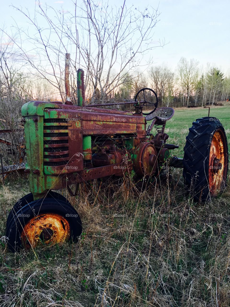 agriculture