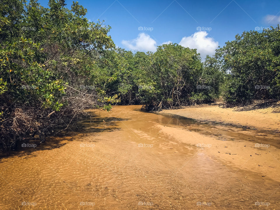 Rio que deságua no mar de coroa vermelha Bahia Brasil 🇧🇷