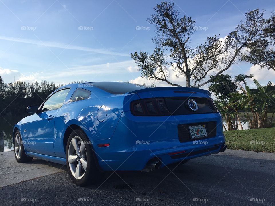 Grabber Blue Mustang GT 