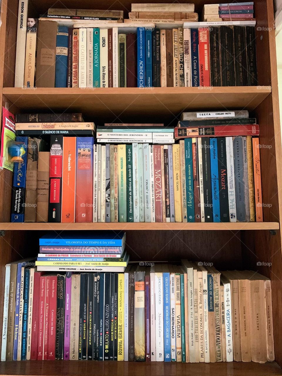 Books lined up on the shelf