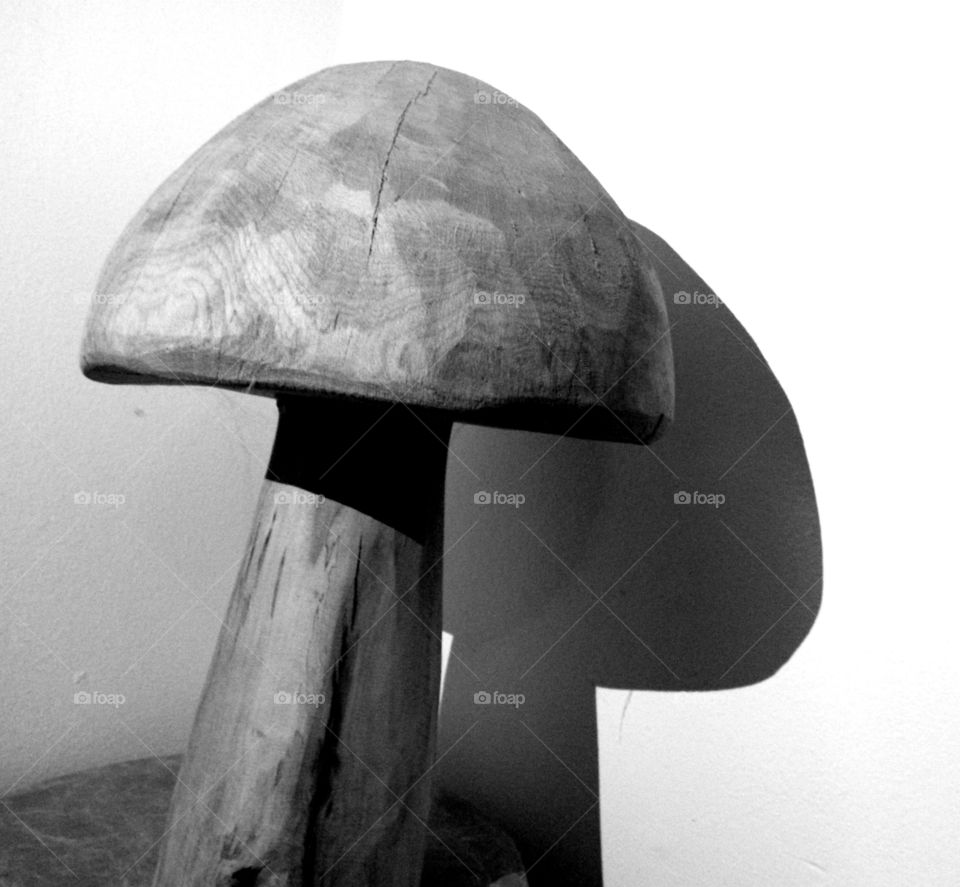 A black and white photo of a wooden mushroom - The beauty of black and white - 