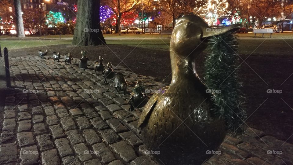 Make Way For The Ducklings