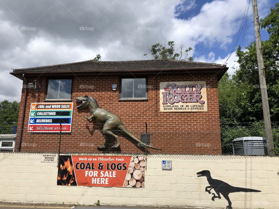 A great find here where they make life size models of natural history animals. I didn’t expect to find this in Bovey Tracey in Devon, UK