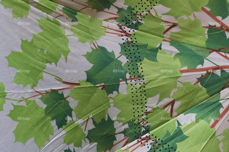 An inside abstract view of a green rain umbrella.