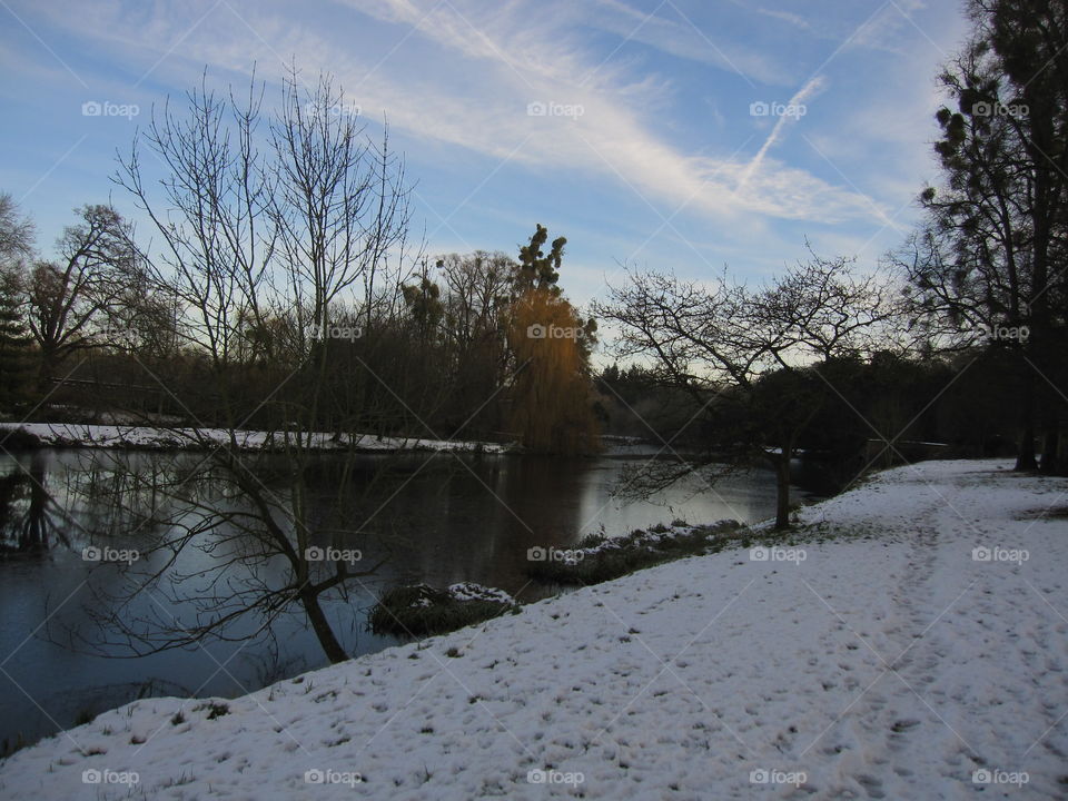 Winter, Snow, Landscape, Cold, Ice