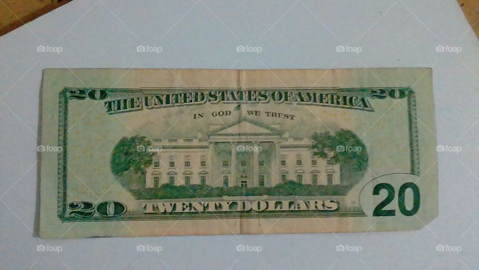 a twenty dollar bill
