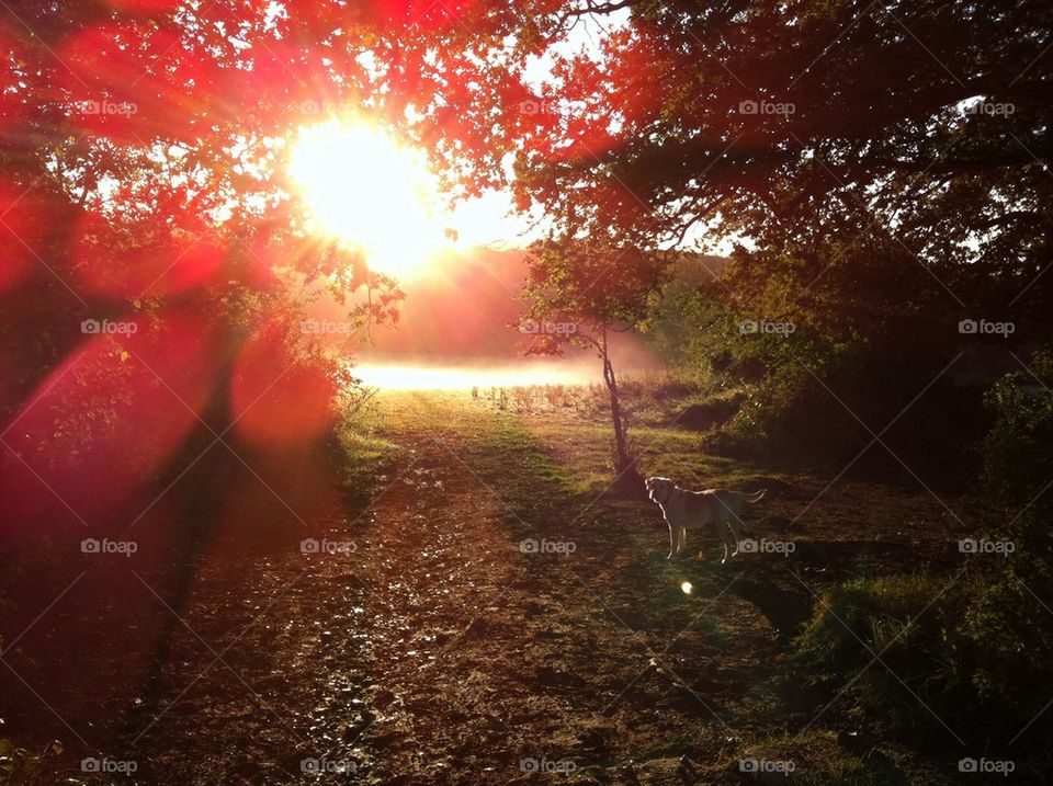 A walk in the countryside