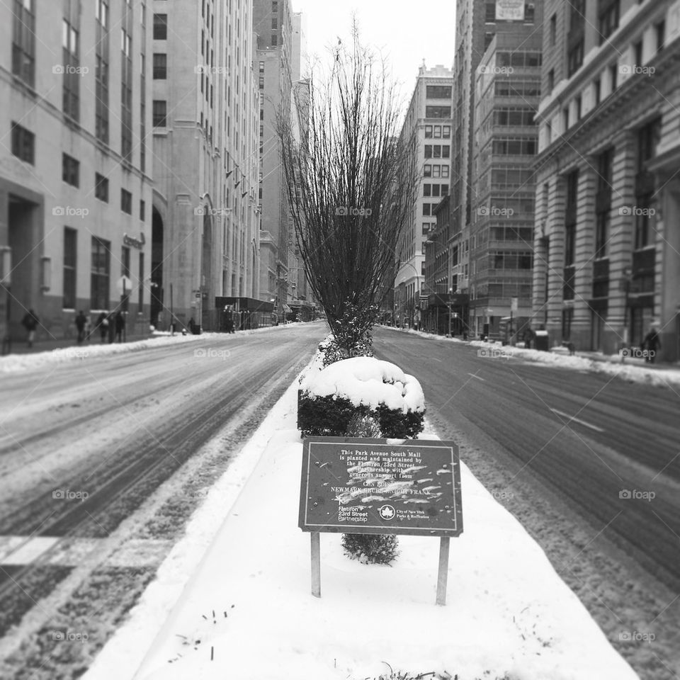 Park Ave in the Snow