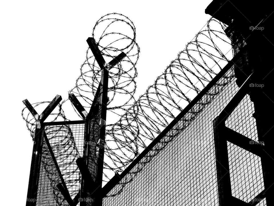 Shadows and silhouettes