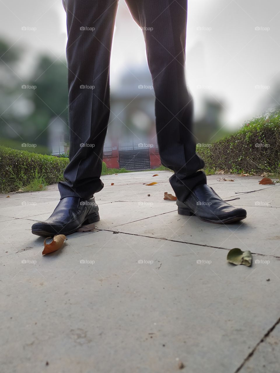 man standing in beautiful park in India