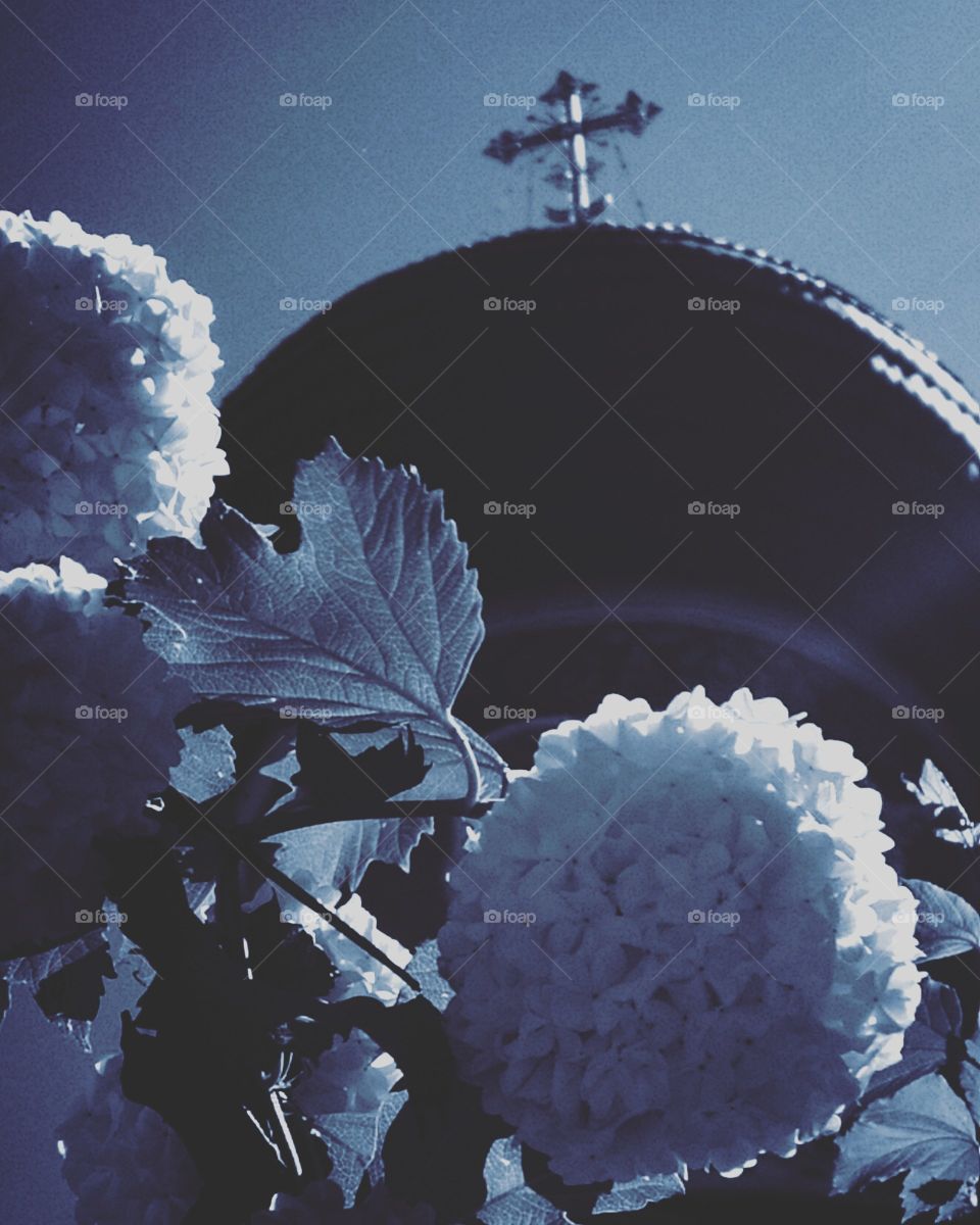 Phlox flowers against the background of the dome of the temple.  Black and white contrast
