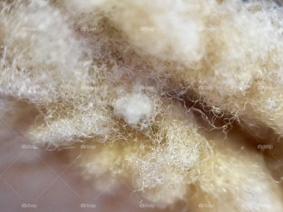 Close up of wool