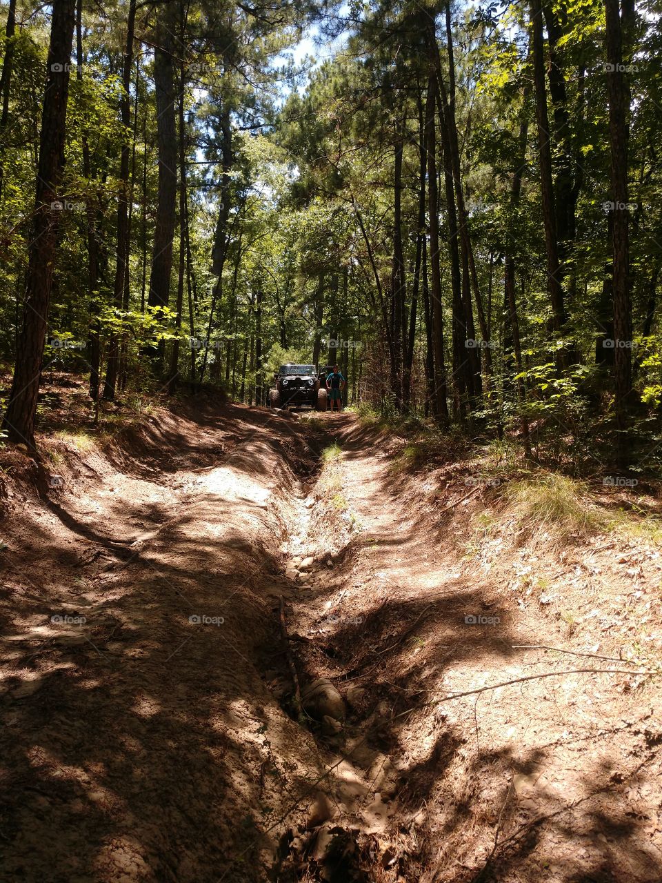 jeep trail