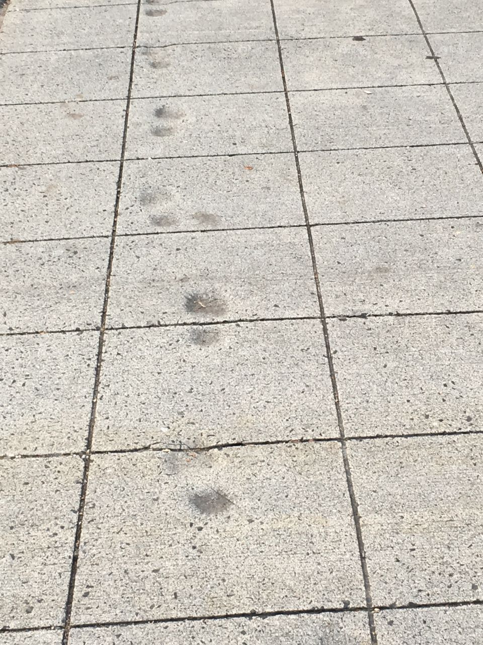 Dry footprints 