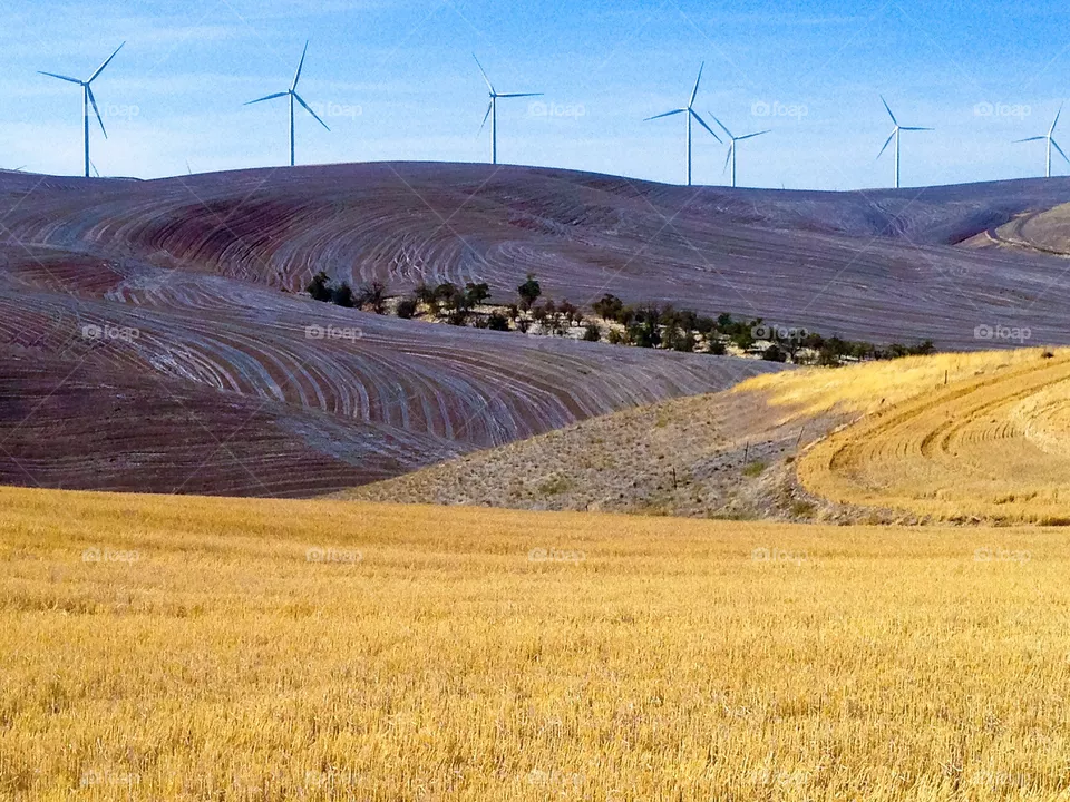 Farm, Agriculture, Field, Landscape, Wheat