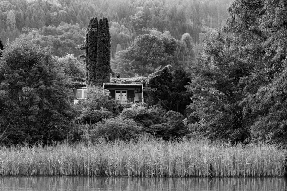 house in the woods by a lake