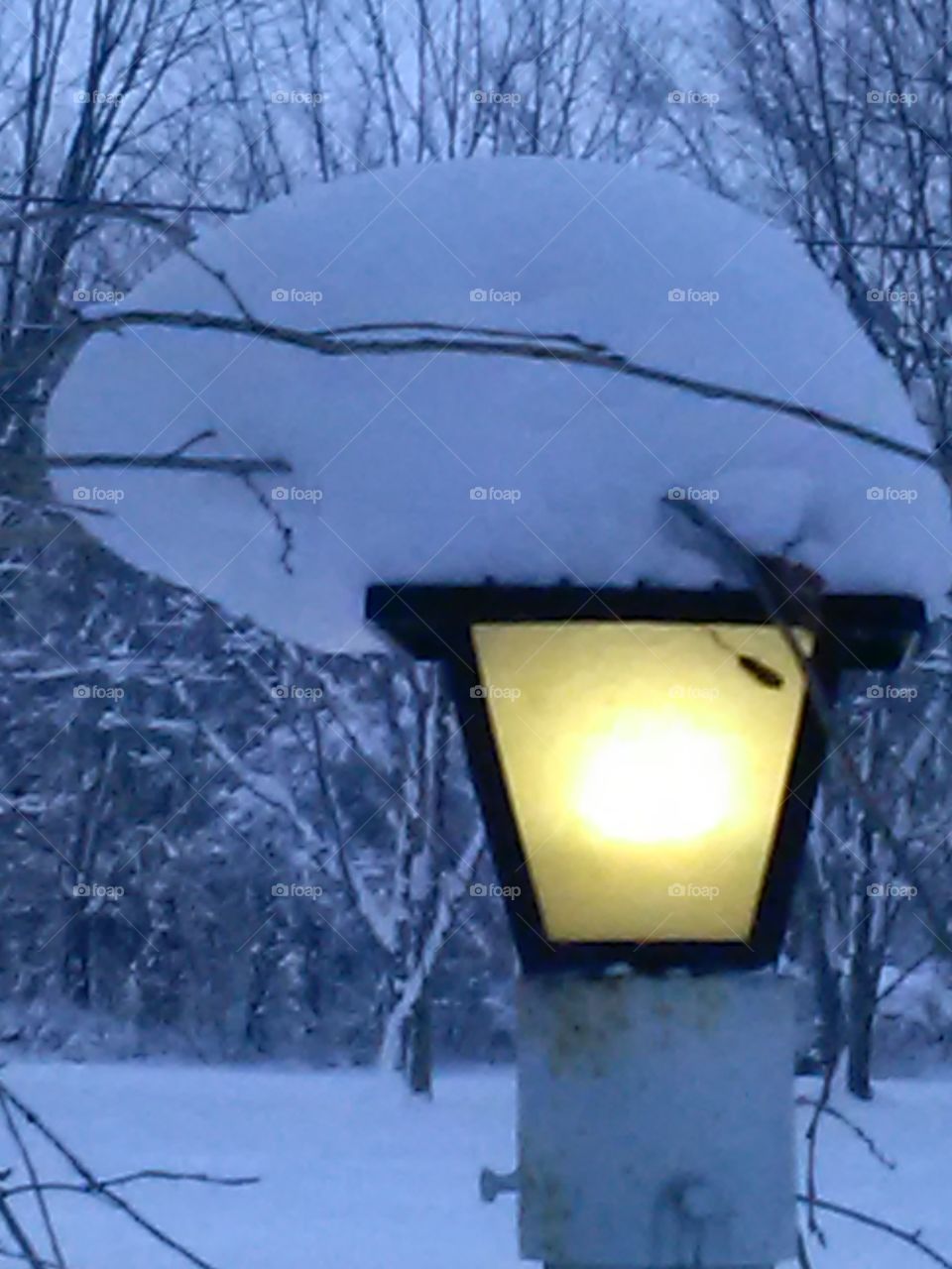 Winter's light