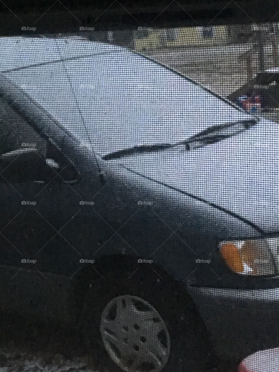 Hey baby it’s cold out there! A light coat of snow on everything this morning. Brrr