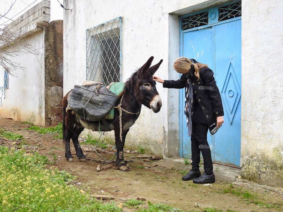 Girl & donkey