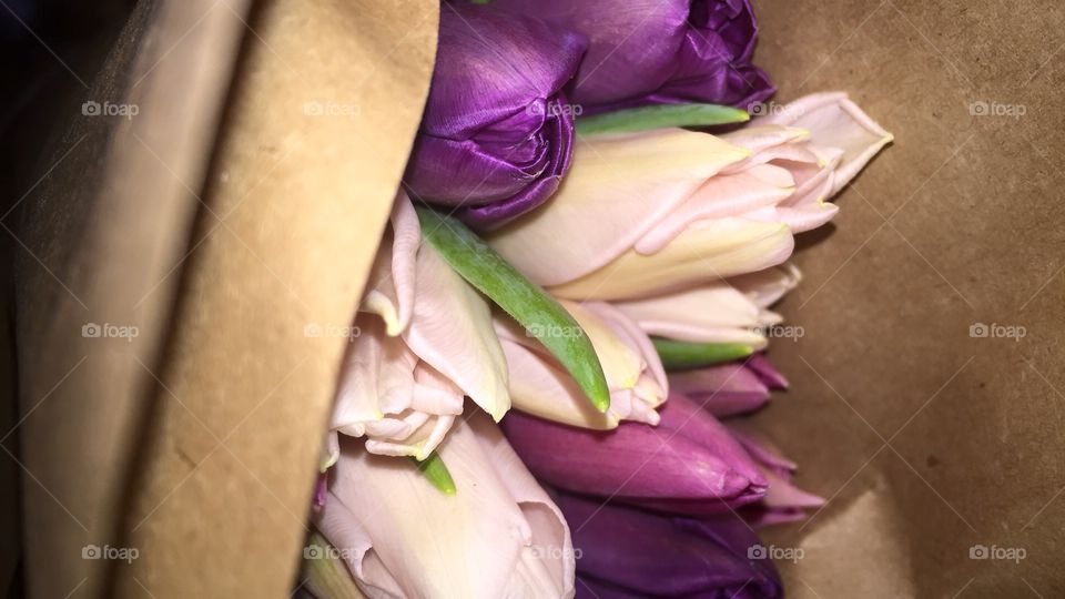 Flower, Wedding, Love, No Person, Nature