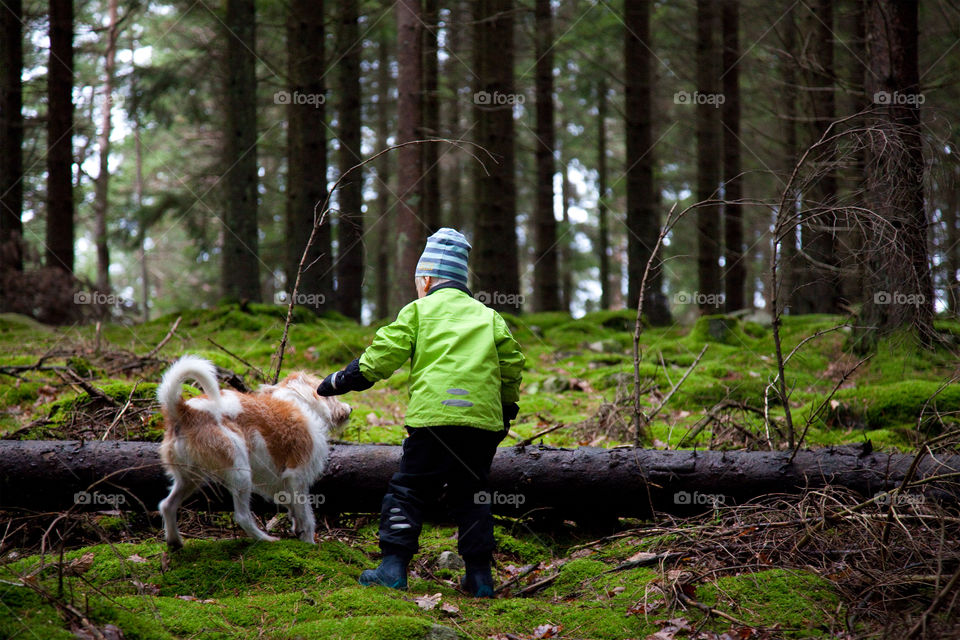 Walk in the forest