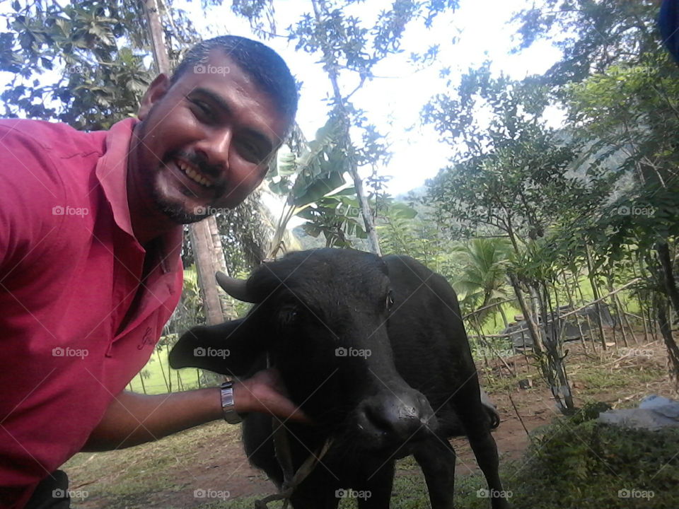 selfi with buffalo