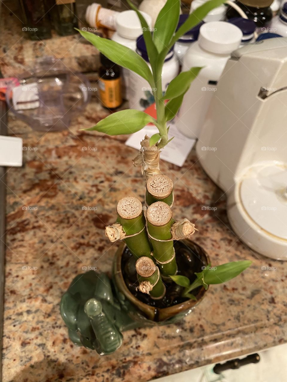 Bring back to life with KANGEN 