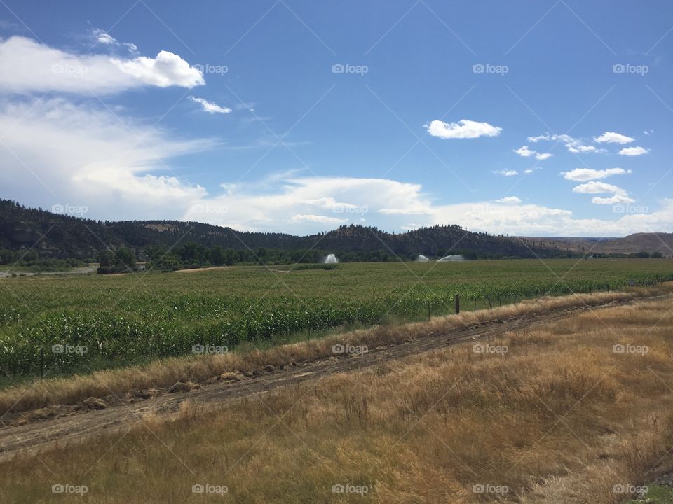 Landscape, No Person, Sky, Agriculture, Nature