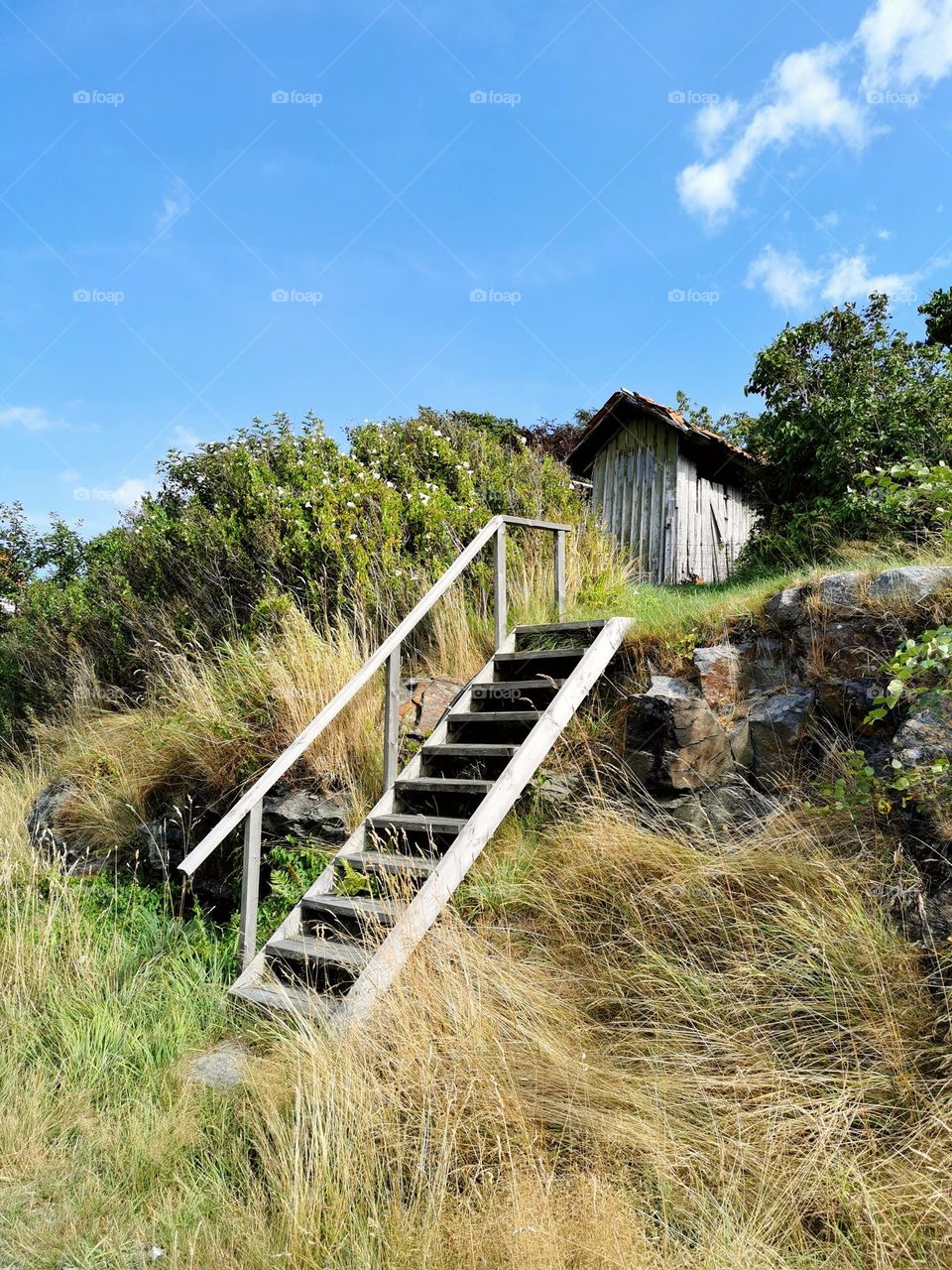 Old shed