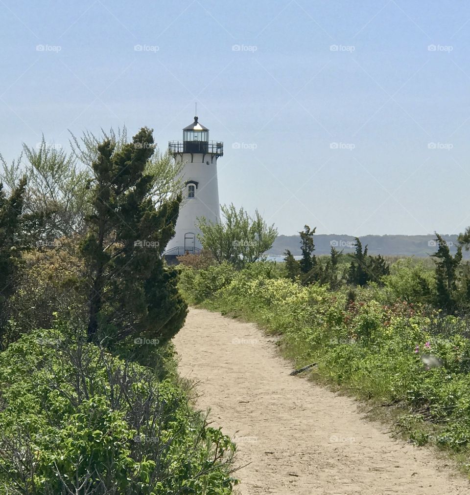 Light House Pogue Bay Martha's Vineyard 