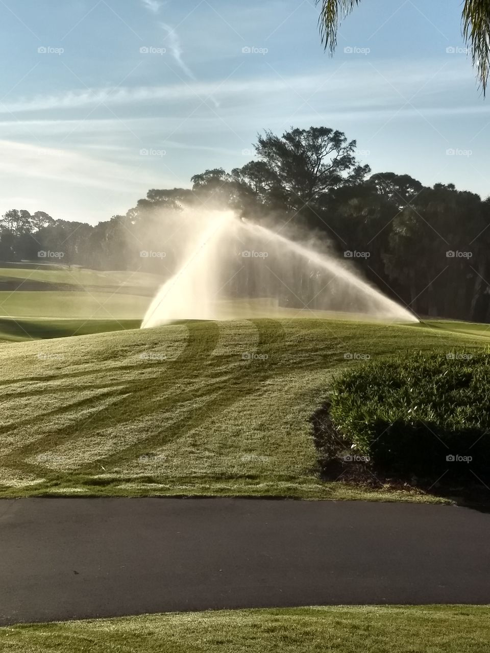 watering the greens