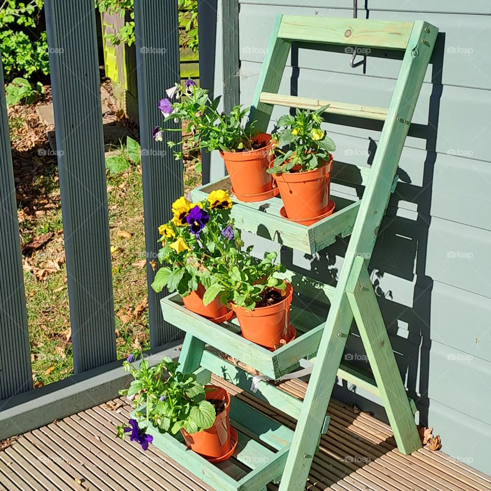 green ladder shelves holding flowepots in sunny autumn day on veranda of summerhouse in a garden