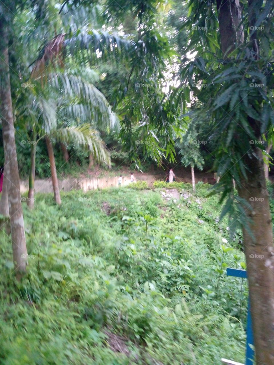 upload photo of the happy moment