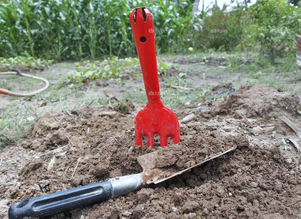 Gardening hand trowel and a rake in garden soil