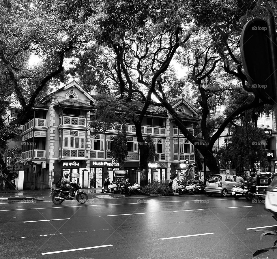 Ohh this beautiful, captivating piece of art with black and white effect!! Amazingly captured by my little sister! #Outdoor #Roadside #Trees #Black and white effect # Happiness 