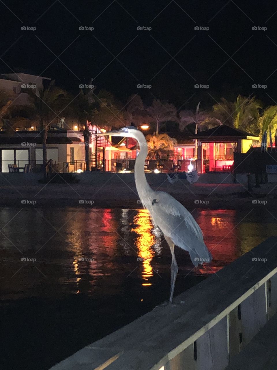 Anna Maria Island, Florida 