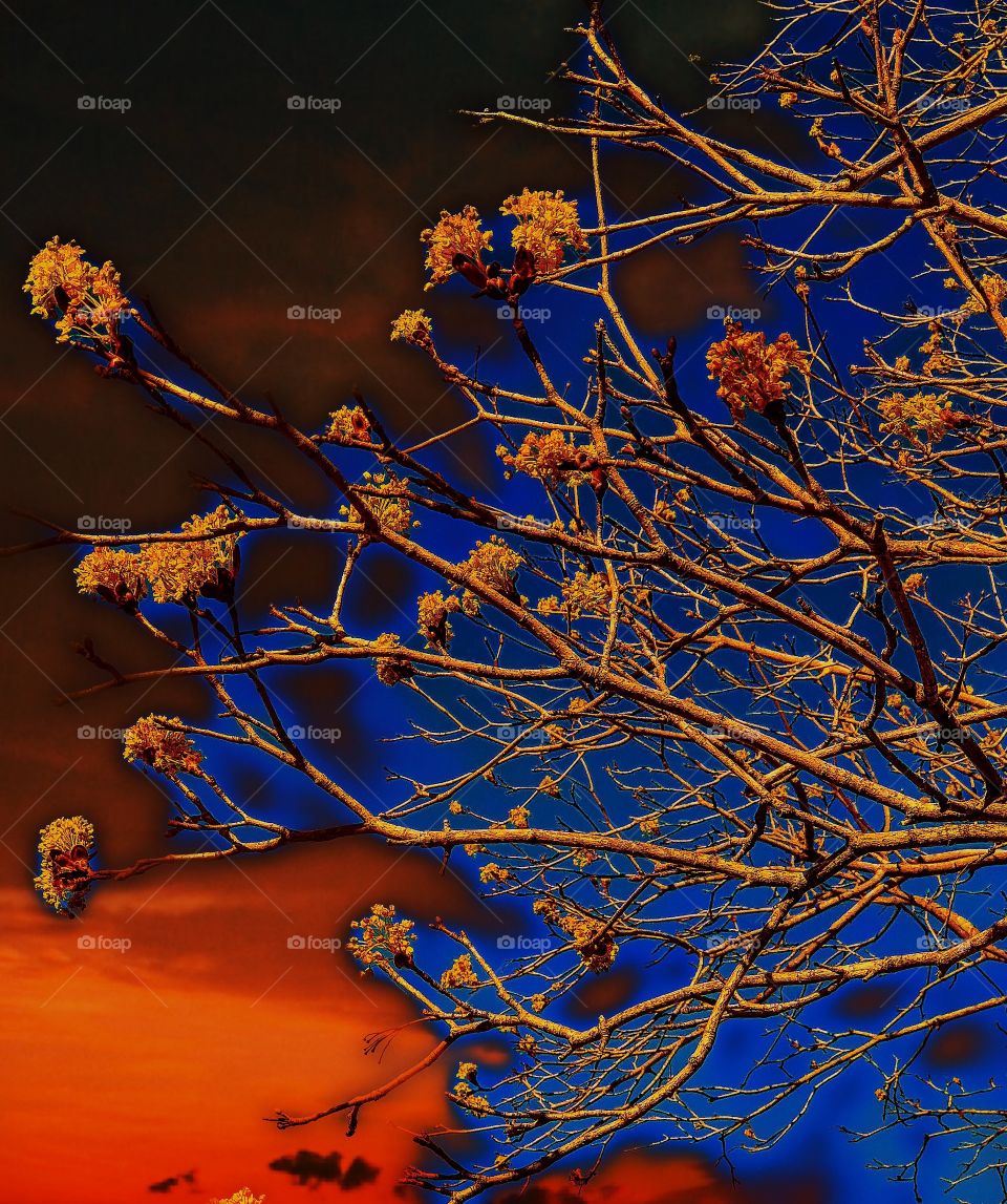 Flowering tree branches done artistically