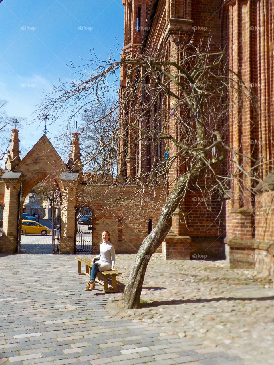 Sacred tree between two churches, Vilnius 