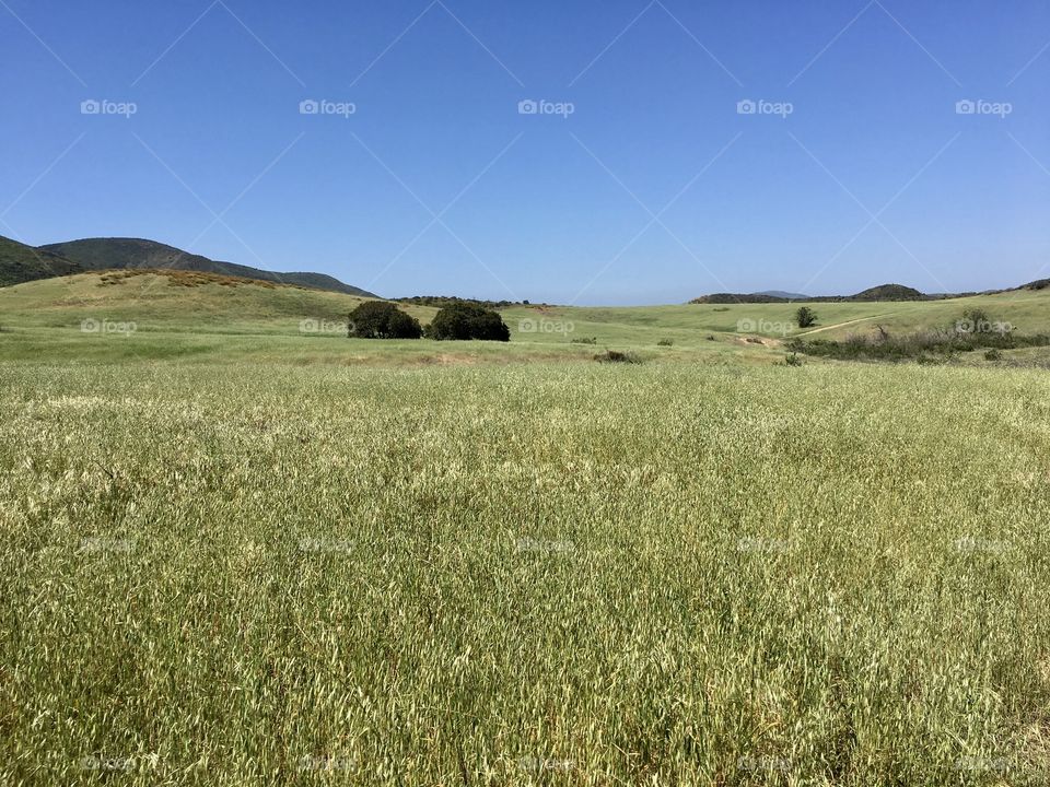 Satwiwa Loop Trail, Santa Monica Mountains, California 