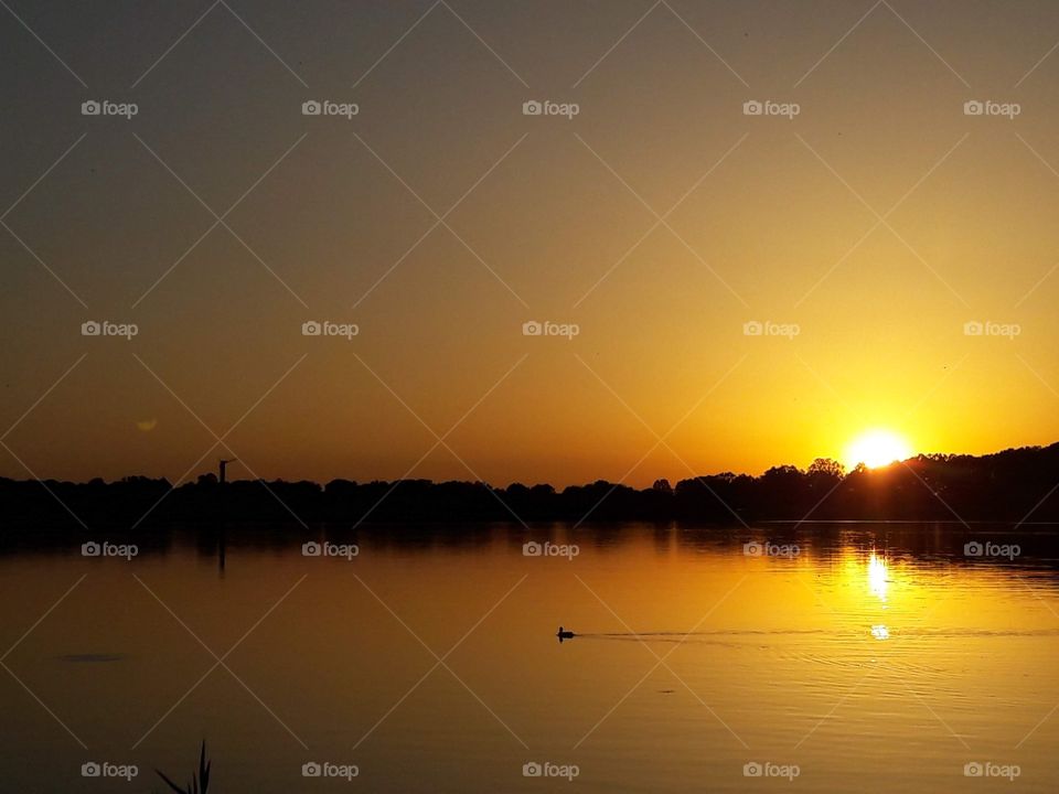 Orange reflection of a sunset on a river where a dug is crossing
