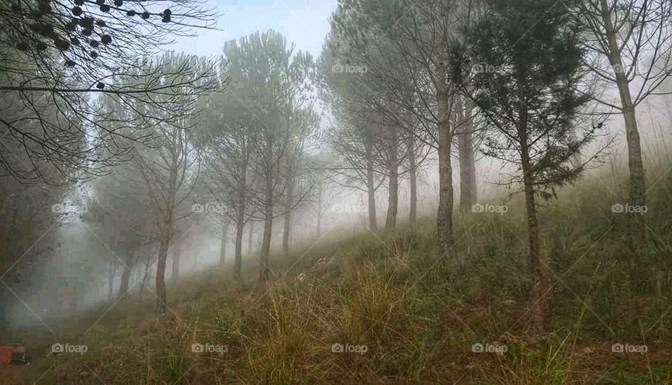 Panorama di montagna