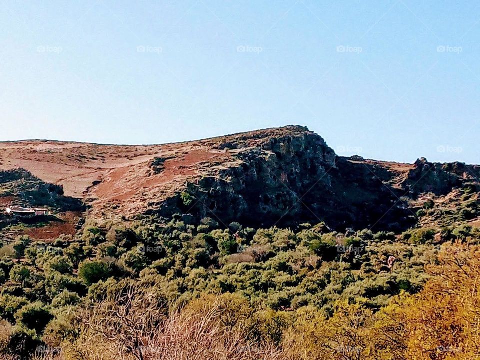 A beautiful day Landscape whit rooks and trees
