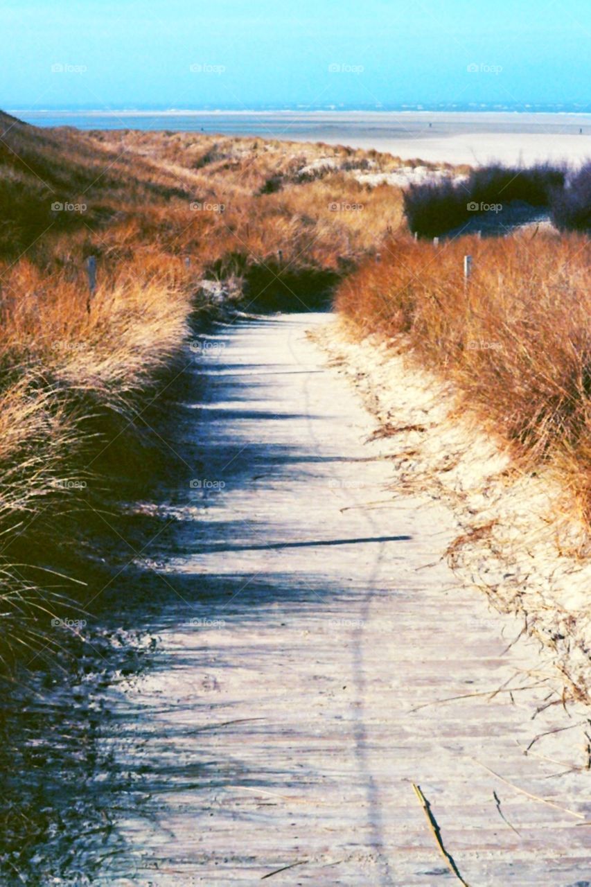 Beach path